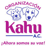 Organizacion Kahu Logo